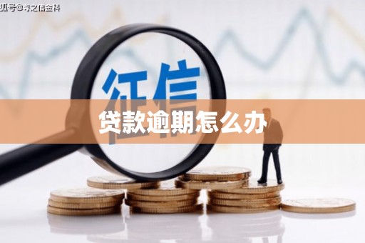 都兰贷款逾期怎么办