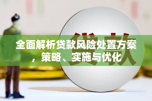 都兰全面解析贷款风险处置方案，策略、实施与优化
