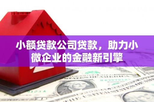 都兰小额贷款公司贷款，助力小微企业的金融新引擎
