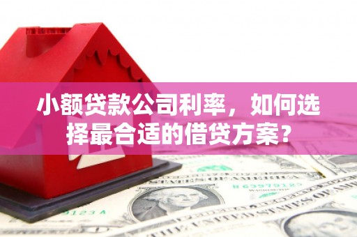 都兰小额贷款公司利率，如何选择最合适的借贷方案？