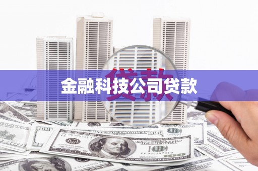都兰金融科技公司贷款
