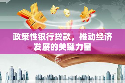 都兰政策性银行贷款，推动经济发展的关键力量