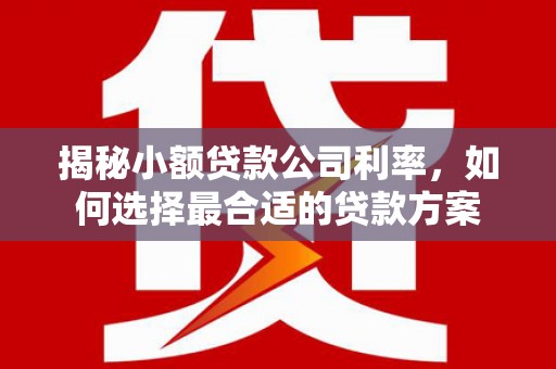 都兰揭秘小额贷款公司利率，如何选择最合适的贷款方案