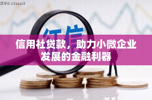 都兰信用社贷款，助力小微企业发展的金融利器