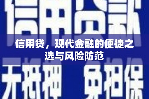 都兰信用贷，现代金融的便捷之选与风险防范