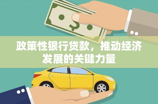 都兰政策性银行贷款，推动经济发展的关键力量