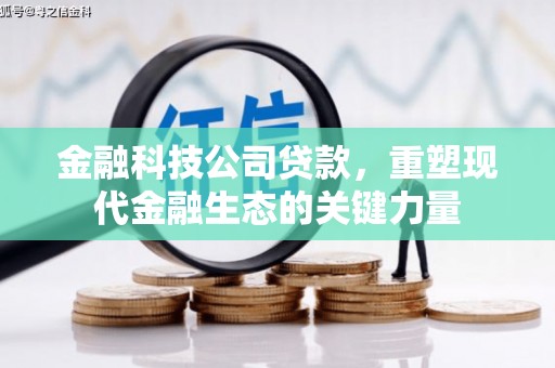 都兰金融科技公司贷款，重塑现代金融生态的关键力量