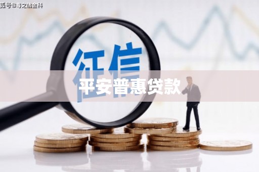 都兰平安普惠贷款