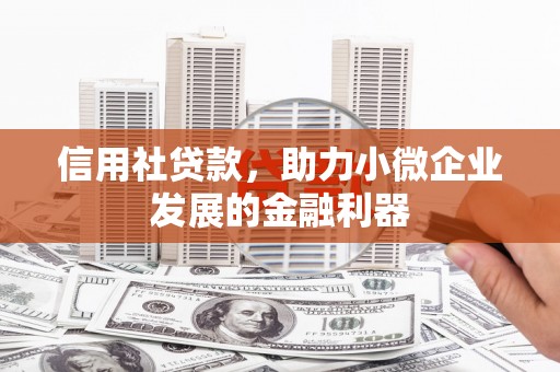 都兰信用社贷款，助力小微企业发展的金融利器