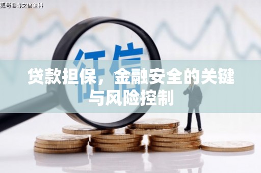 都兰贷款担保，金融安全的关键与风险控制