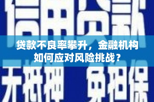 都兰贷款不良率攀升，金融机构如何应对风险挑战？