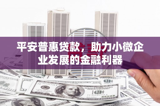 都兰平安普惠贷款，助力小微企业发展的金融利器