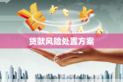 都兰贷款风险处置方案